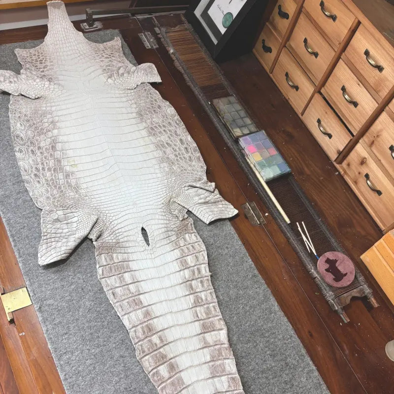 Crocodile Leather Choker–Designer Leather Jewelry-Himalaya Bloom